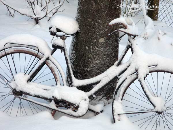 7 janvier 2010, le vélo de tante Hortense