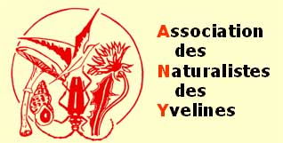 Association des Naturalistes des Yvelines