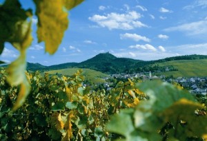 Région viticole de Baden-Baden