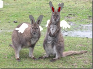 Des trolls de kangoulapanges