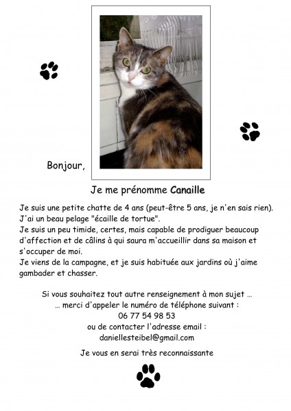Annonce Canaille